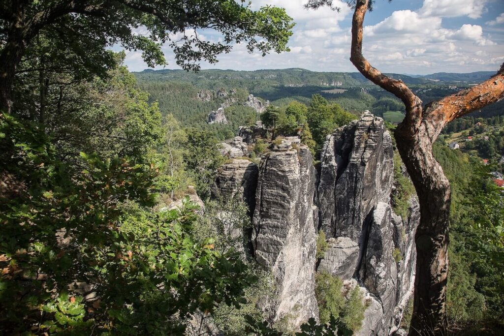 Sandstone rock formations and forest landscape in Saxon Switzerland
