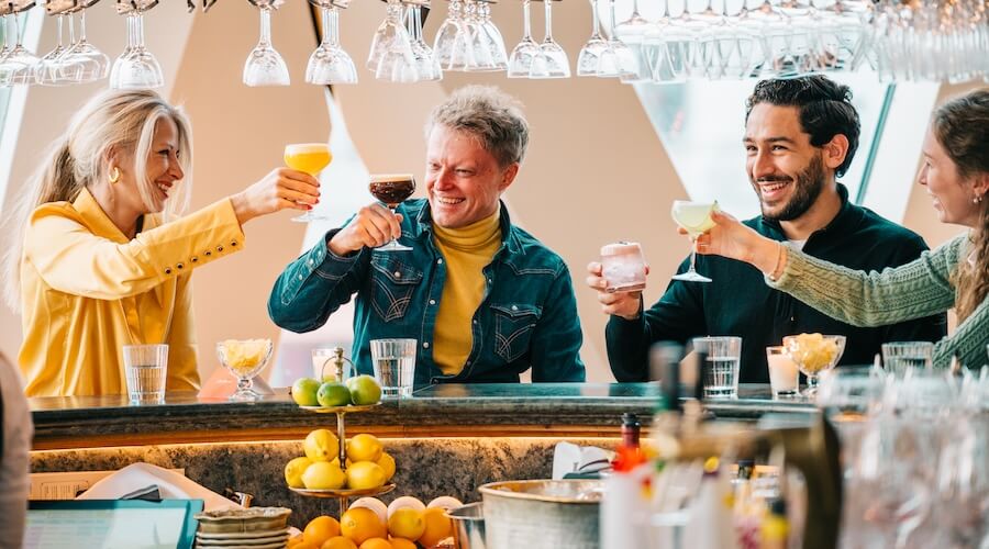 Guests toasting cocktails at a rooftop bar during a Vienna nightlife tour